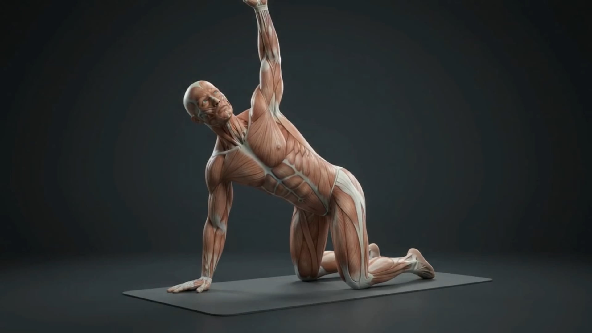 Side Reach